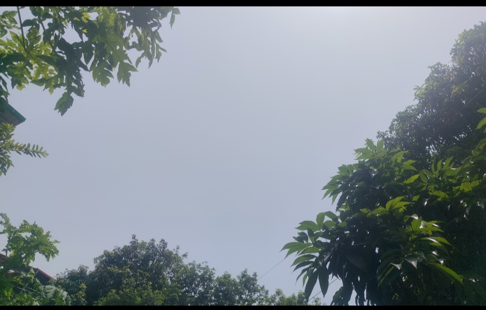 दक्षिण बंगाल में बदला मौसम का मिजाज, मानसून सक्रिय होने से भारी बारिश की चेतावनी