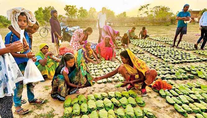 बस्तर जिले के तेंदूपत्ता संग्राहकों को नाै करोड़ 41 लाख 73 हजार का शत-प्रतिशत हुआ भुगतान