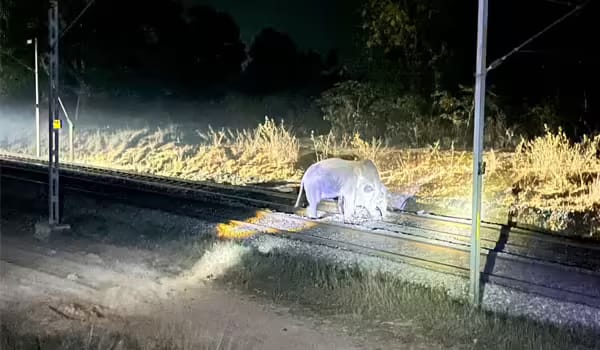 गढ़वा रोड-डालटनगंज बरकाकाना रेल खंड पर ट्रेन परिचालन सामान्य