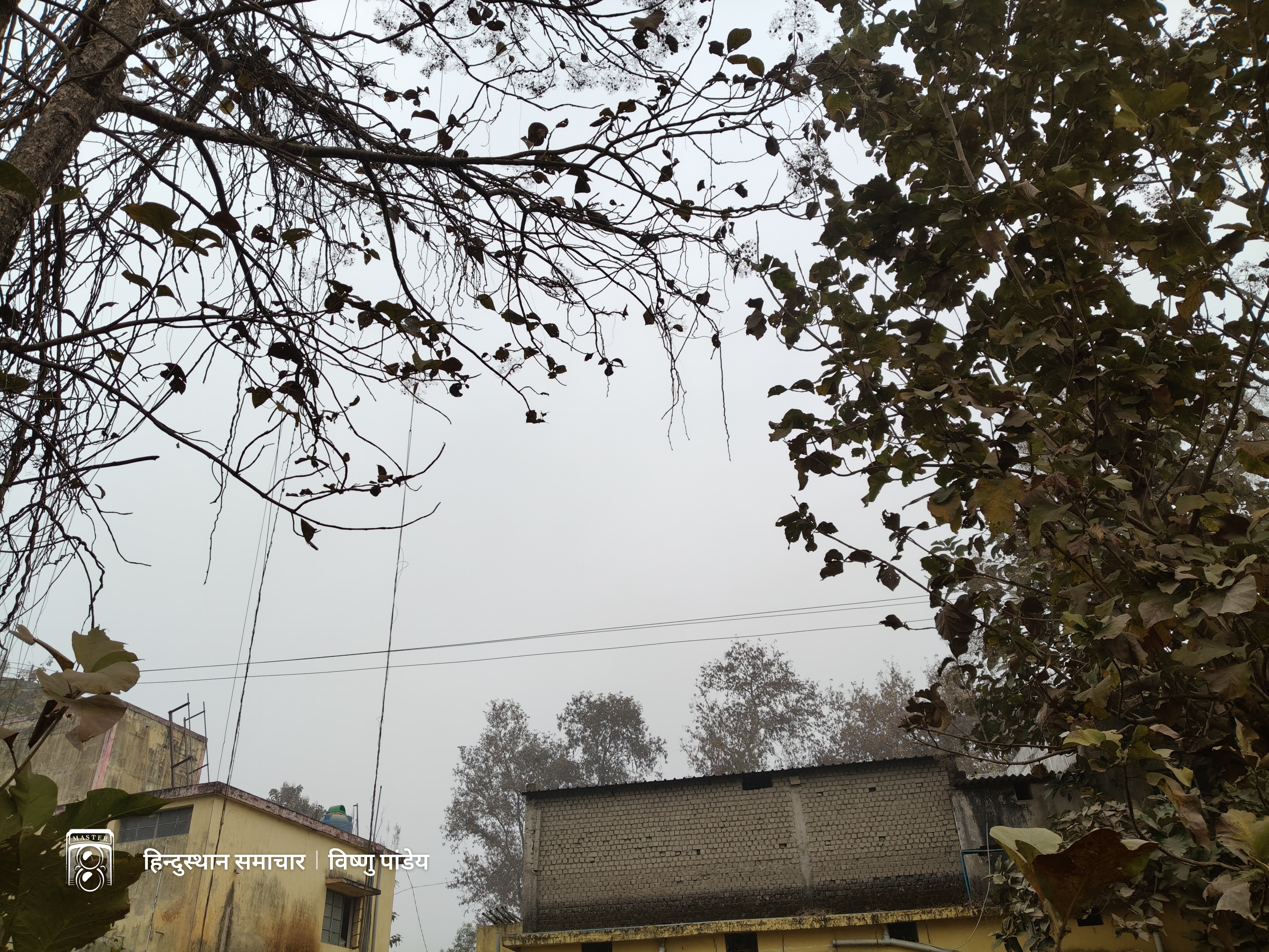 बलरामपुर : उत्तर छत्तीसगढ़ में फिर बढ़ी ठंड , शीतलहर–कोहरे ने बढ़ाई ठिठुरन