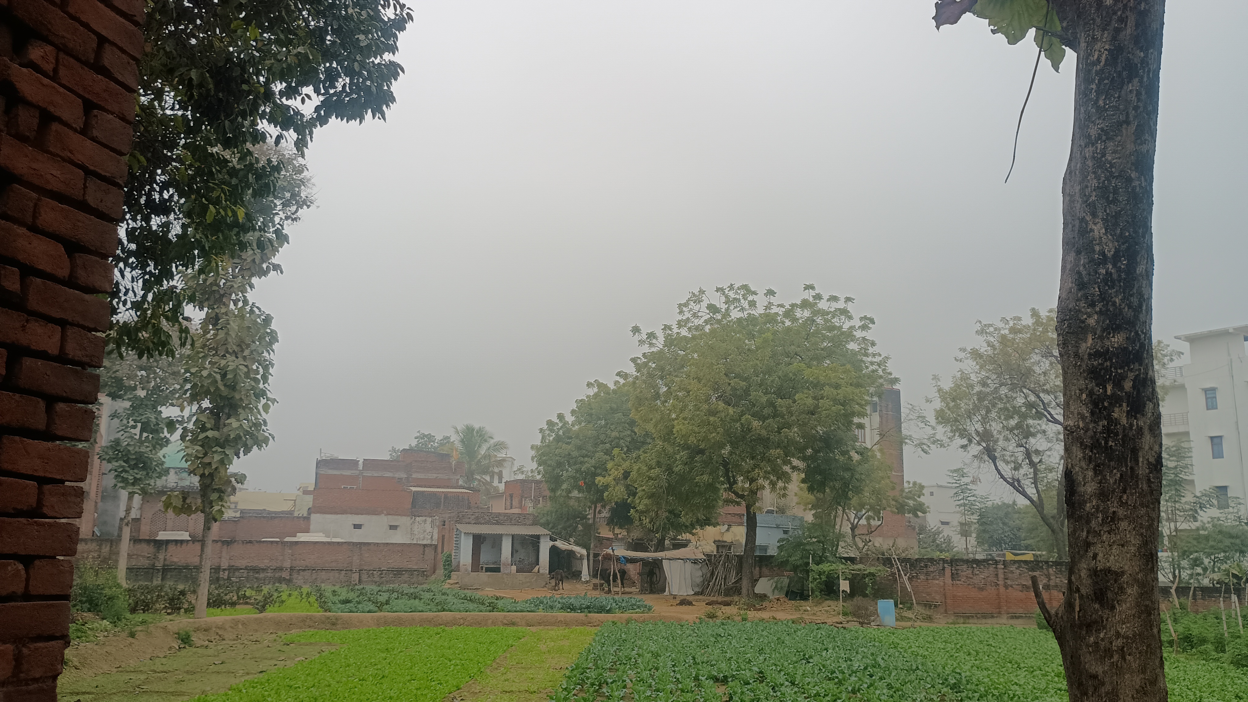 मौसम ने लिया करवट, ठंड और गलन बढ़ी, तापमान पहुंचा 11 डिग्री