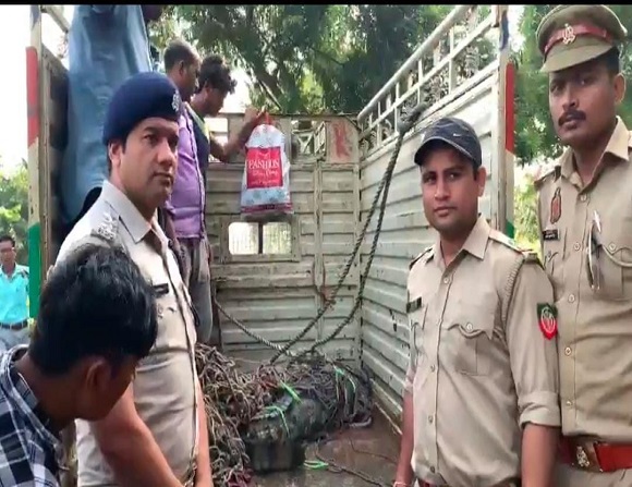 हापुड़ : नदी से निकलकर तालाब में आए विशालकाय मगरमच्छ को वन विभाग की टीम ने किया रेस्क्यू
