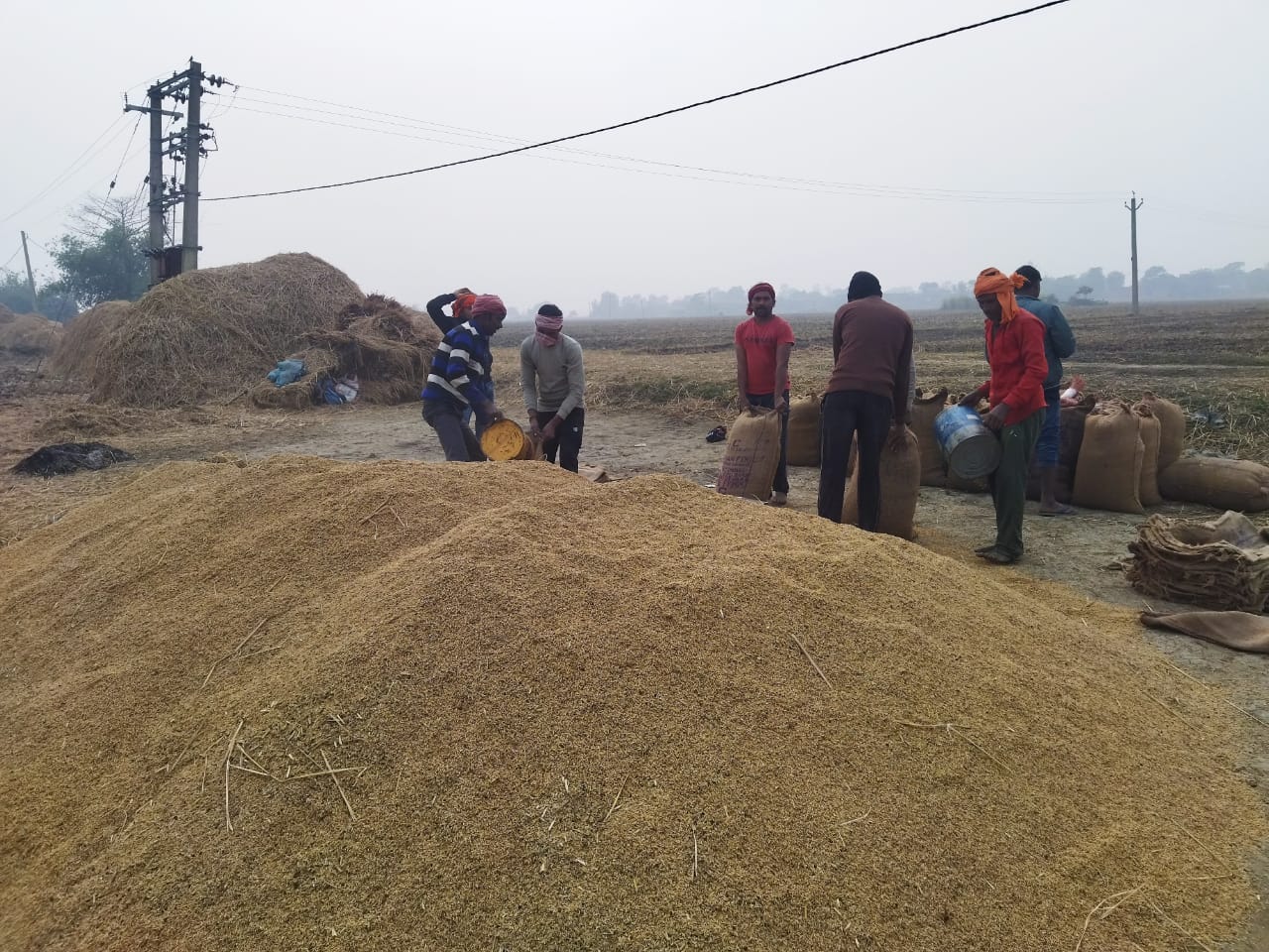 धान खरीद लक्ष्य में कटौती से किसान चिंतित