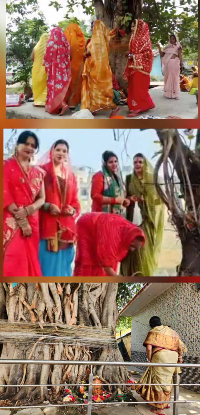वट सावित्री व्रत का पावन पर्व श्रद्धा व आस्था के साथ मनाया गया