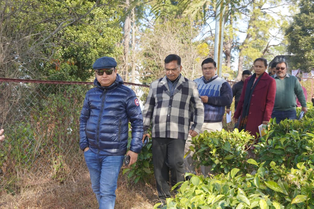 चम्पावत में चाय पर्यटन को नई रफ्तार, सचिव ने बागान का किया निरीक्षण